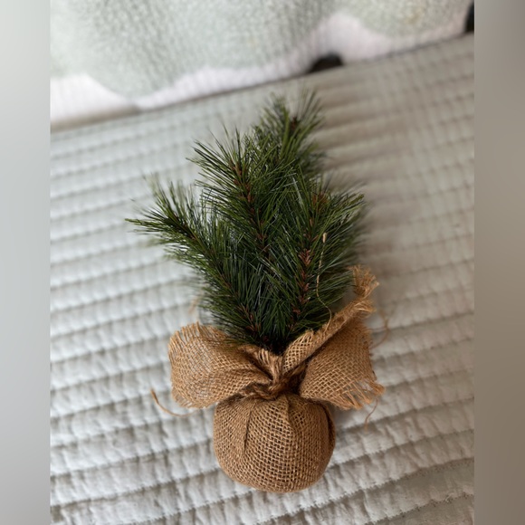 🧡 Tree Home Decor Farmhouse Plants Country BUNDLE DEALS - Picture 5 of 8